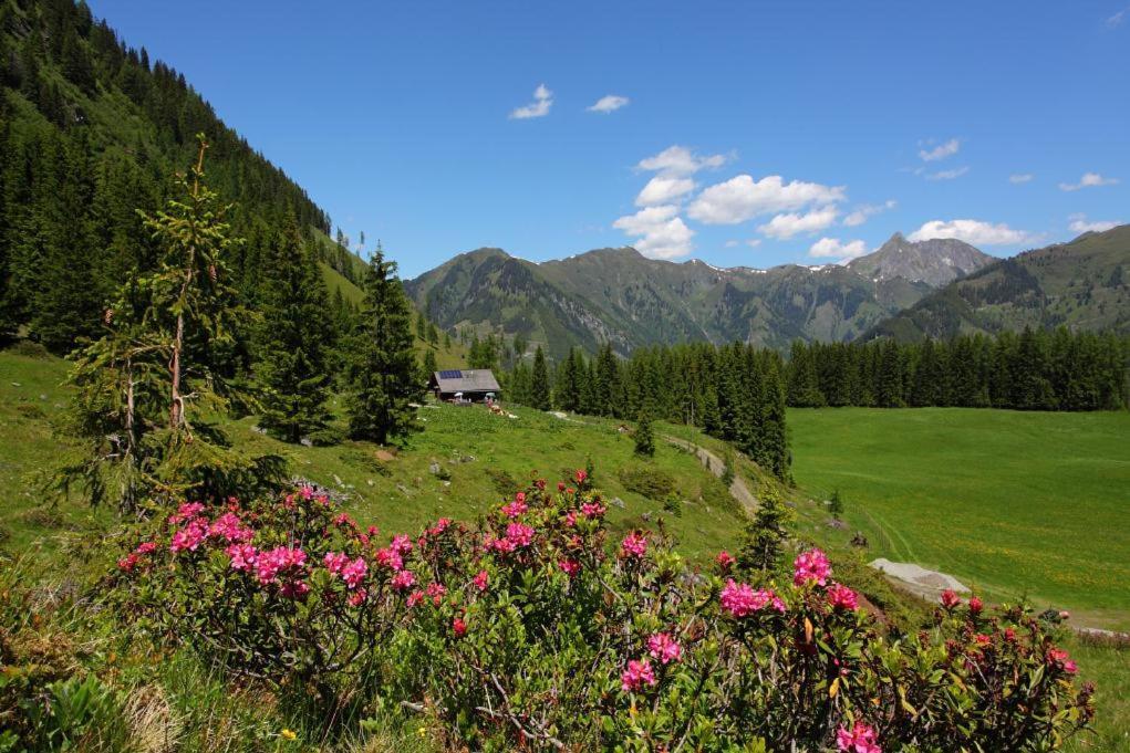 Natur-&Auszeithotel Hüttenwirt Hüttschlag Exterior foto